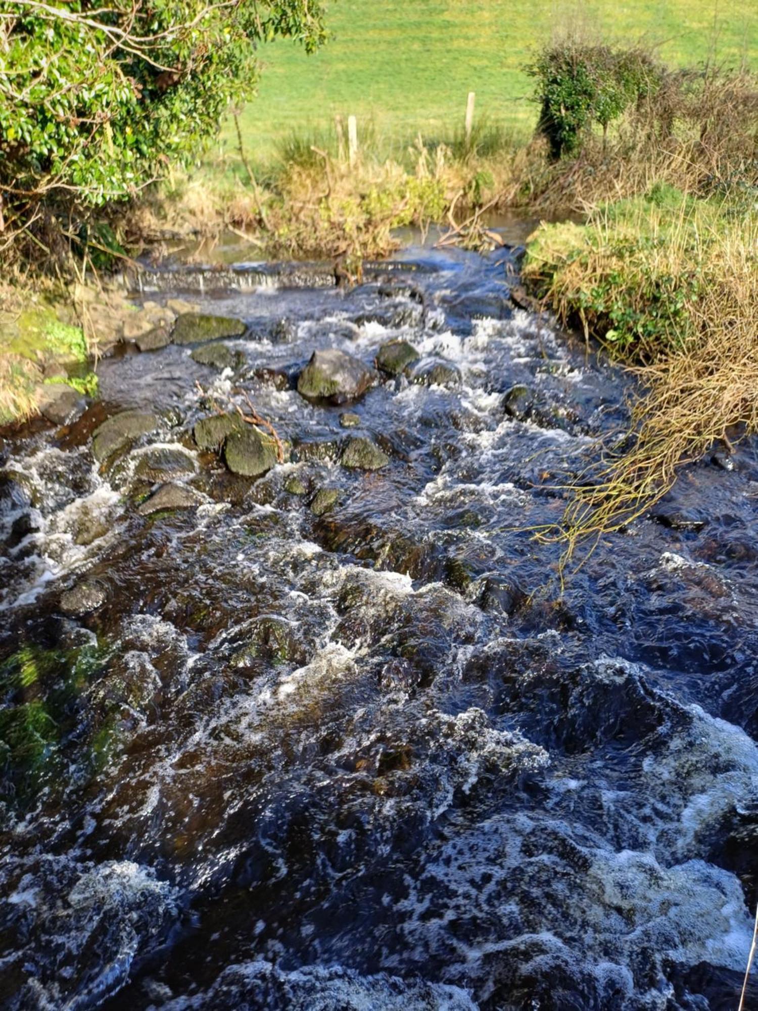 Little River Glamping Ballymoney Εξωτερικό φωτογραφία