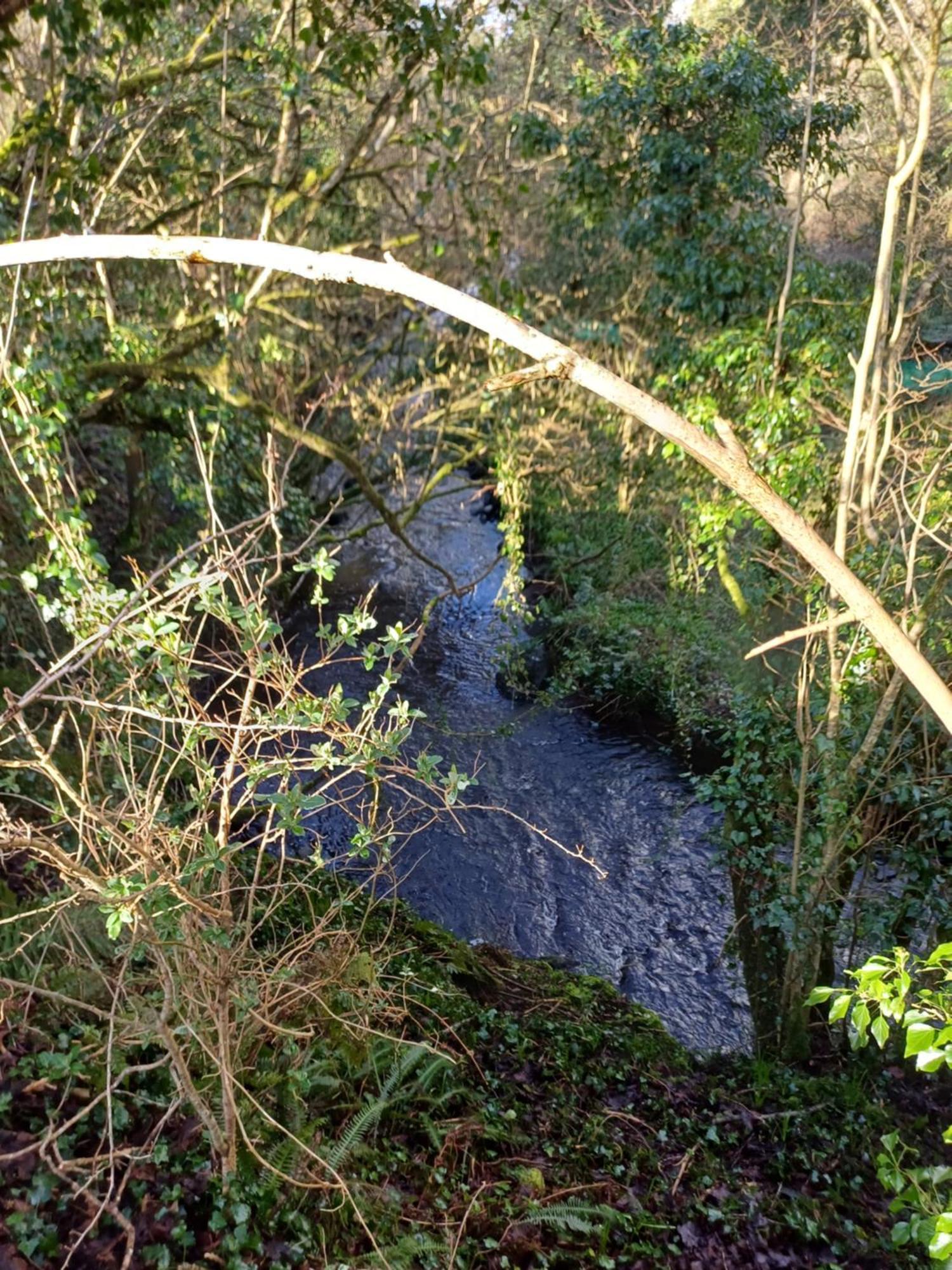 Little River Glamping Ballymoney Εξωτερικό φωτογραφία